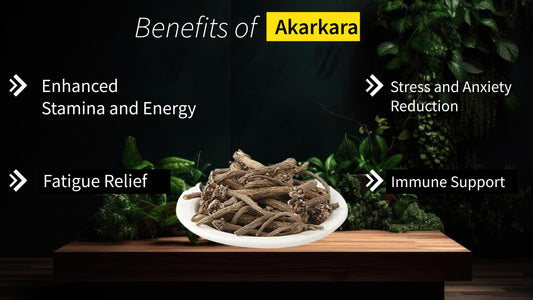 Akarkara: A Herbal Marvel for Men's Health