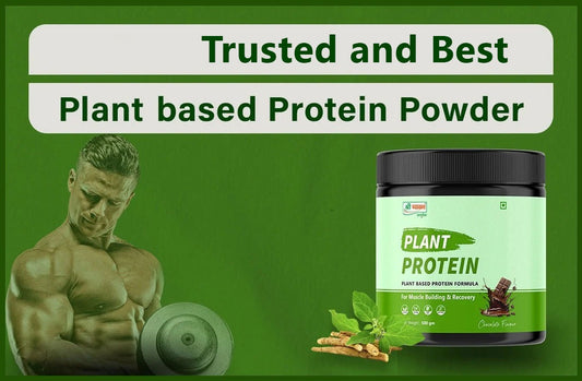 Plant Protein Powder Benefits