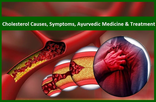 Ayurvedic Medicine for Cholesterol