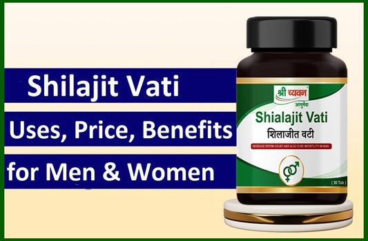 Shilajit Uses