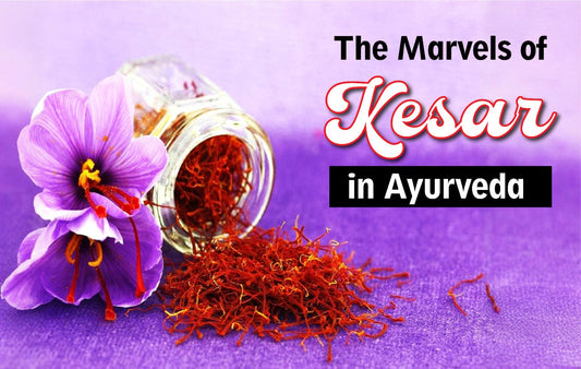 Experience the captivating world of Kesar's extraordinary benefits in traditional Ayurvedic practices