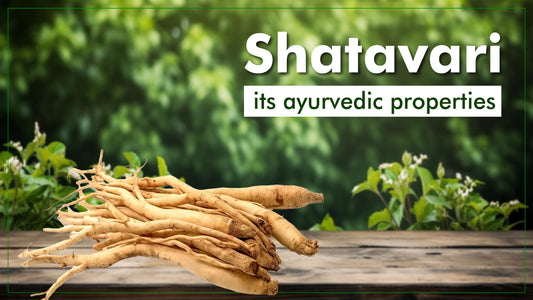 Know the Potent Powers of Shatavari in Ayurveda
