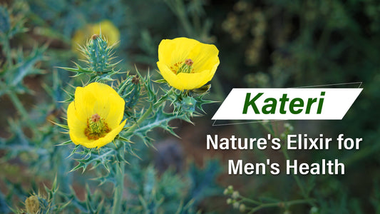 Kateri: Ancient Wisdom for Modern Men's Health