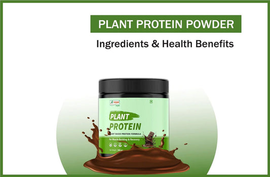 Plant Protein Powder