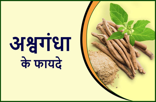 अश्वगंधा (Ashwagandha) - इसके प्रमुख उपयोग, पुरुष (Men) और महिला (Women) के लिए स्वास्थ्य लाभ (Health Benefits)