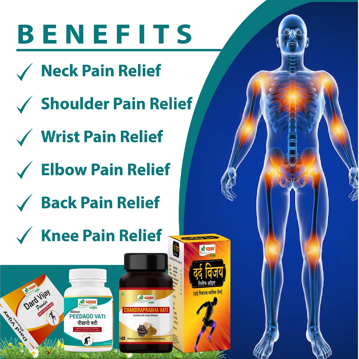 ayurvedic medicine for joint and musle care