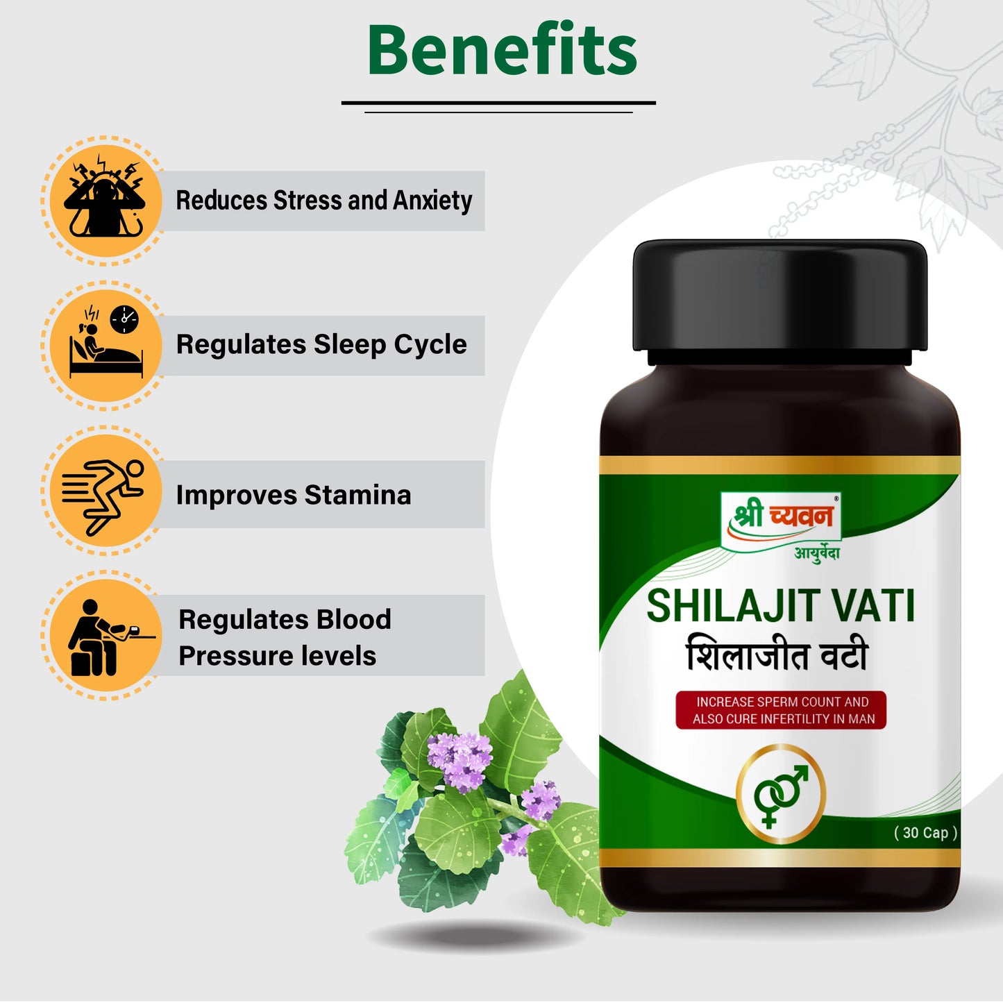 Shilajit Vati Benefits