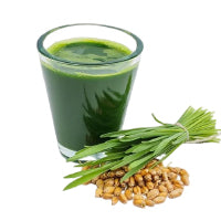 Wheat Grass Ras