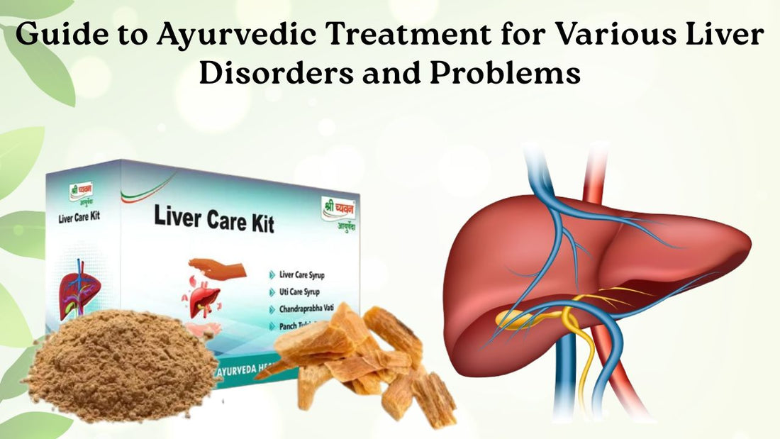 Best Ayurvedic Treatment for Liver
