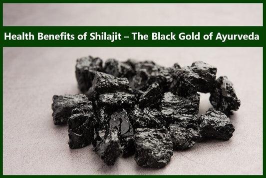 Shilajit Vati 