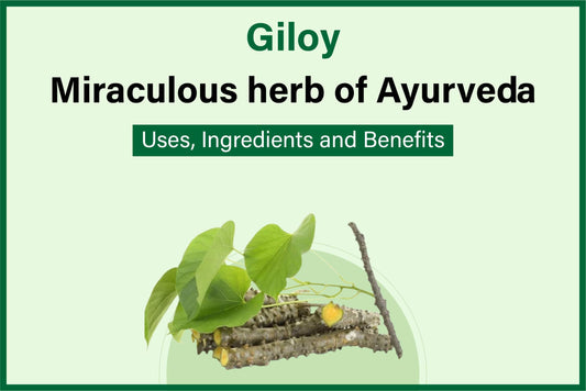 ayurvedic immunity booster