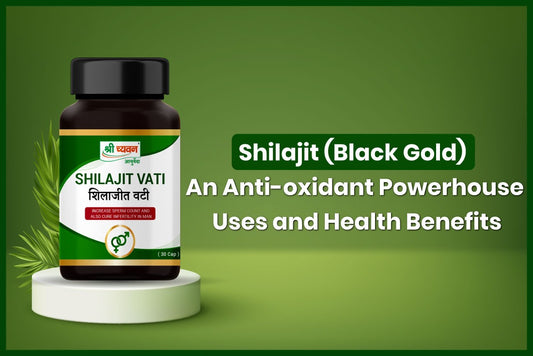 Shilajit Vati (Black Gold)