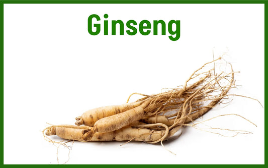 A Light-Colored Root with Long Stalks: Ginseng