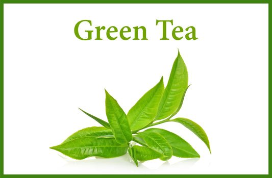 Unveiling the Medicinal Marvels of Green Tea