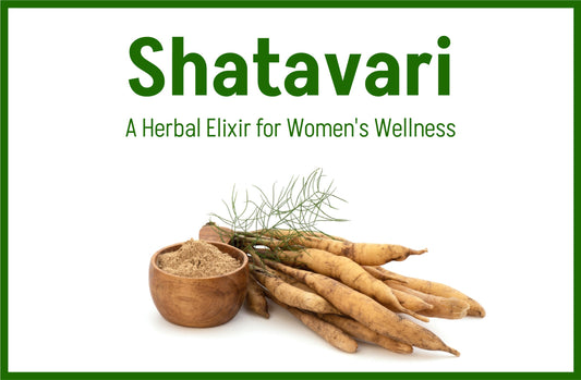 Shatavari: A Herbal Elixir for Women's Wellness