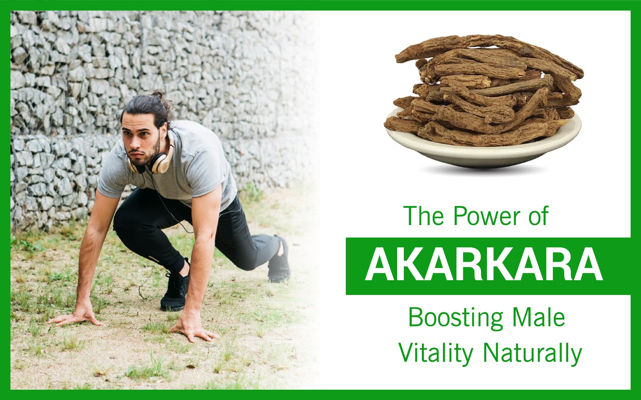 The Power Of Akarkara Boosting Male Vitality Naturally the-power-of-akarkara-boosting-male-vitality-naturally