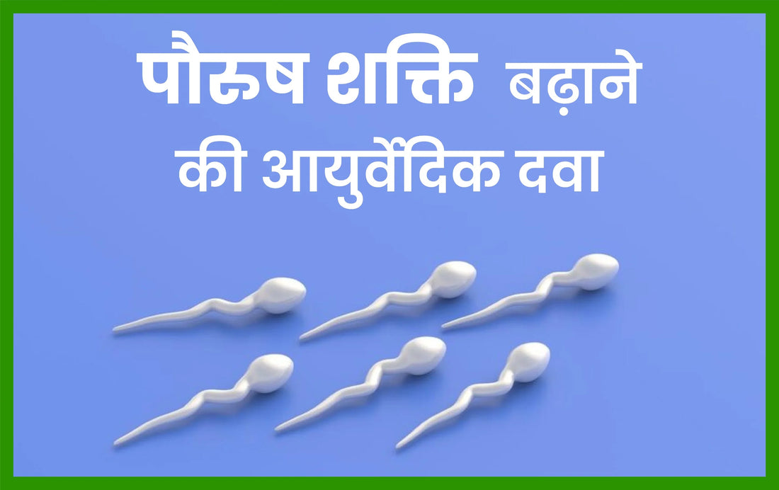पौरुष शक्ति बढ़ाने की आयुर्वेदिक दवा, ज्यादा देर तक करने की टेबलेट india, ज्यादा देर तक करने की टेबलेट नाम, महिलाओं में कामेच्छा बढ़ाने की आयुर्वेदिक दवा, टाइमिंग बढ़ाने की देसी दवा