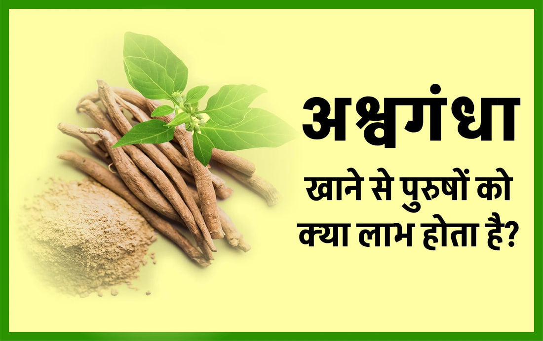 अश्वगंधा के फायदे, पुरुषों के लिए अश्वगंधा के फायदे, महिलाओं के लिए अश्वगंधा के फायदे, अश्वगंधा कैप्सूल, अश्वगंधा का उपयोग, ashwagandha uses
