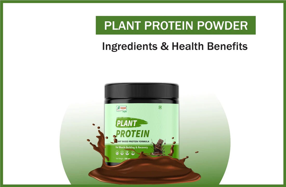 Plant Protein Powder 