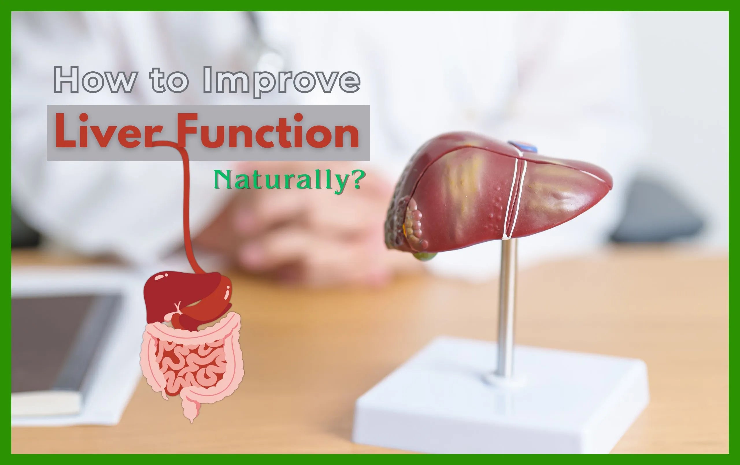 How to Improve Liver Function Naturally