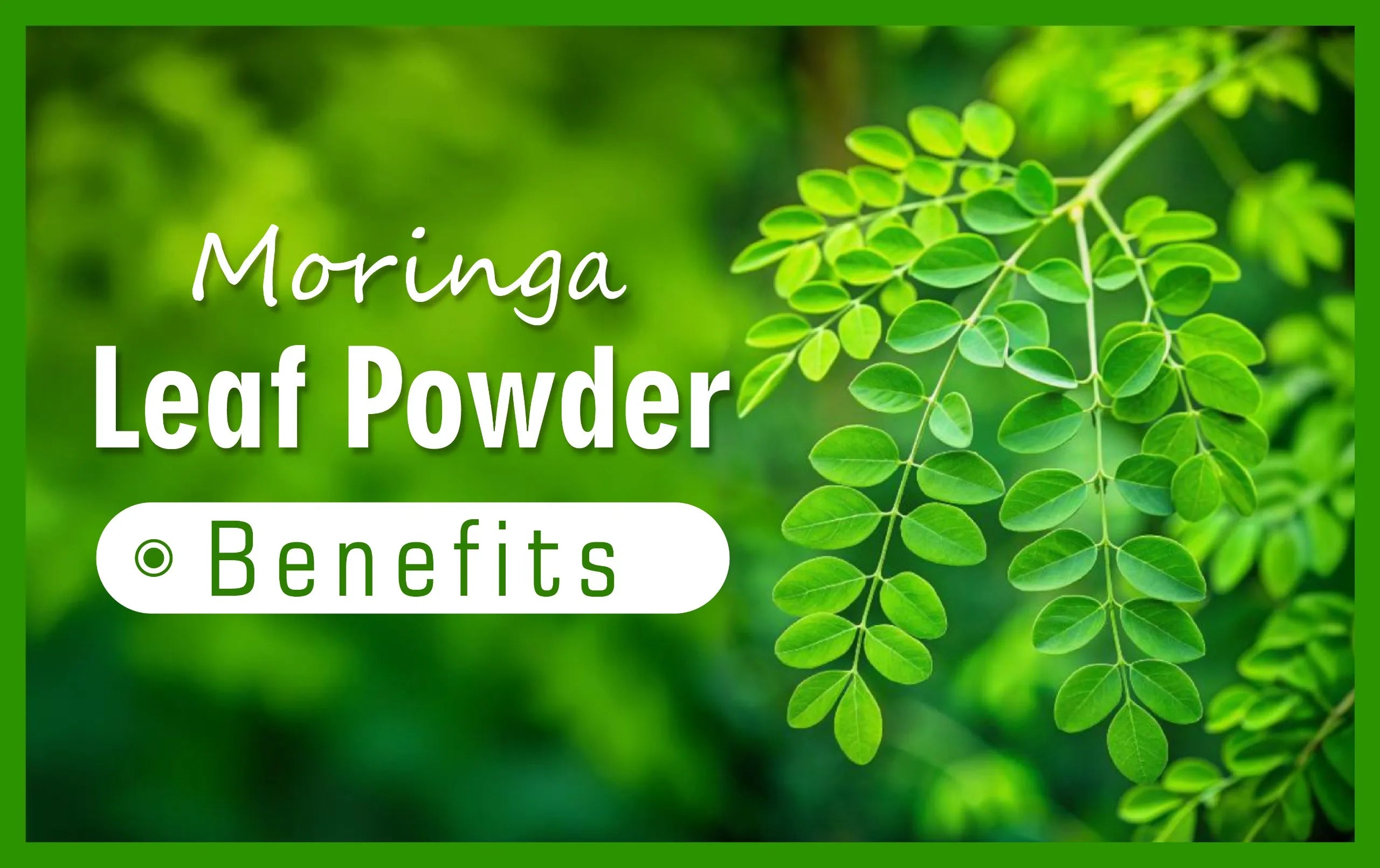 Health Benefits Of Moringa Leaf Tea