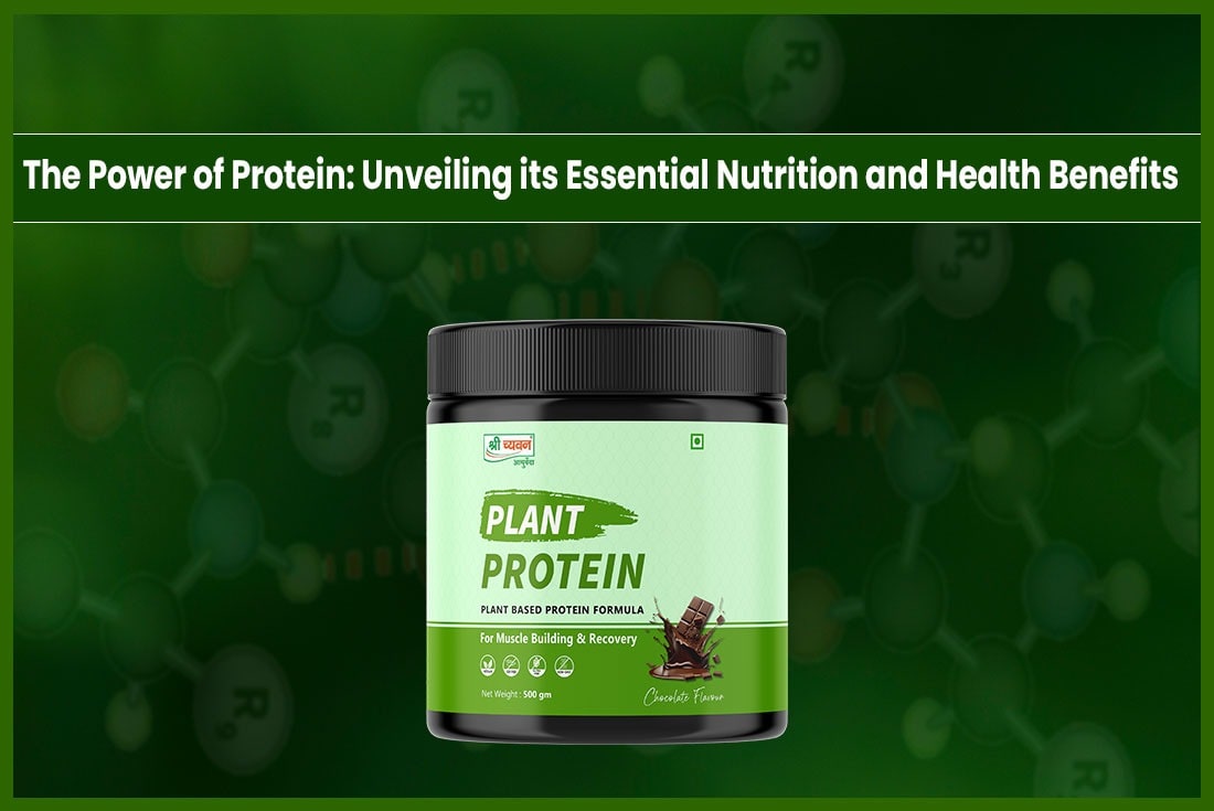 Best Plant Protein Powder