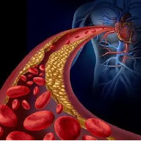 Promotes Healthy Cholesterol Management