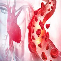 Purifies Blood Naturally