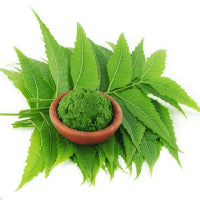 Neem