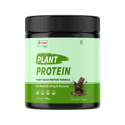 Plant Protein Powder - Chocolate Flavor