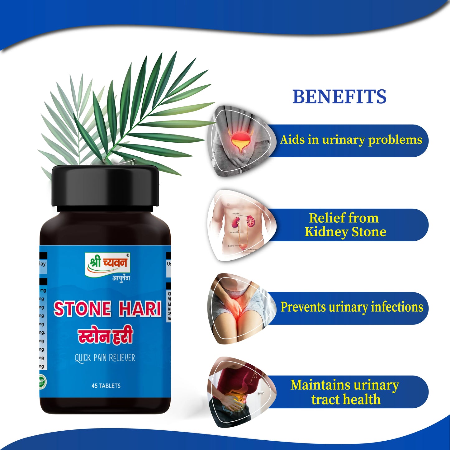 Kidney Stone Treatment, Ayurvedic Medicine for Stone, kidney stones, kidney stone pain, kidney stone medication, kidney stone medicine name