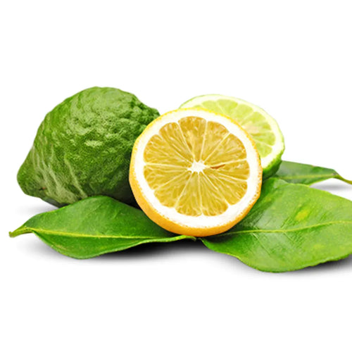 Bergamot