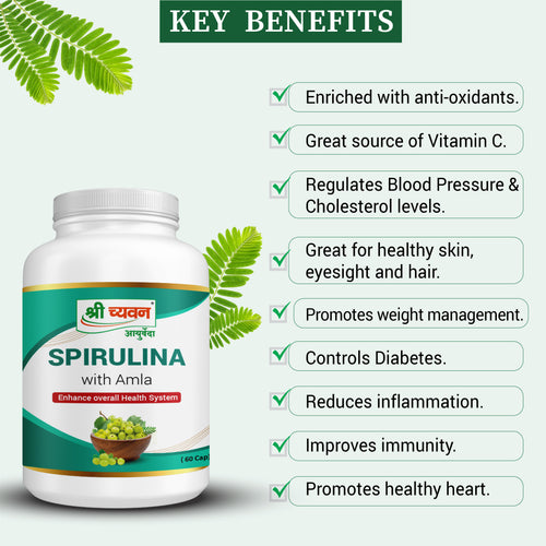 Spirulina, Herbal Tincture, Panacea, 100 ml -- S. & S. TRIA ENNIARIA  TRADING LTD