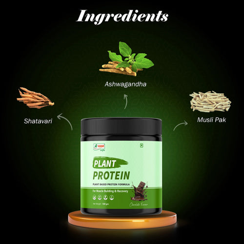 Plant Protein Powder - Chocolate Flavor