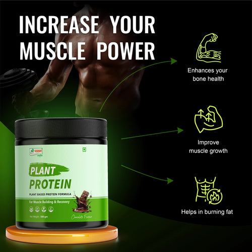 Plant Protein Powder - Chocolate Flavor