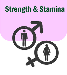 Strength & Stamina